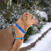 Mark Hopkins's profile image
