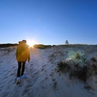 Toffie Janthabood's profile image