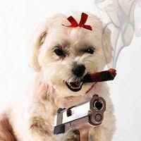 Jana Helton's profile image