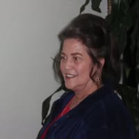 Diane Ferro Hawley's profile image