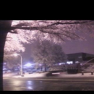 Sharon P.'s profile image