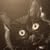 Janet Martin's profile image