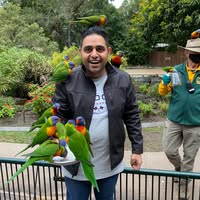 Hayder Hameed's profile image