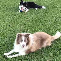 Susan Brady's profile image