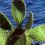 Lucio V.'s profile image