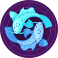 quang le's Profile Image