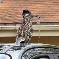 Chris Seiler's profile image