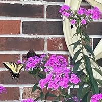 Brenda Drake Ensley's profile image
