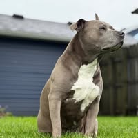 Miguel Angel Rea Hdez's profile image