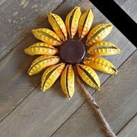 Liane D-Plasch Williams's profile image