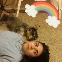 Everest Flores's profile image