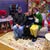 Debbie Zander's profile image