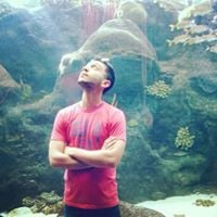 Samer K.'s profile image