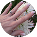 Nicole Amedeo's Profile Image