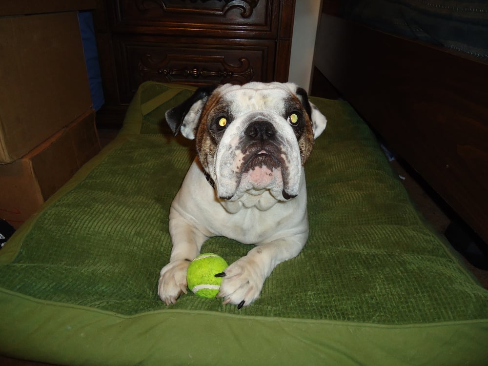 Gerrit B.'s profile image