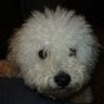 Lisa M.'s profile image