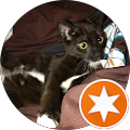N R (Mr. Fix-it)'s Profile Image