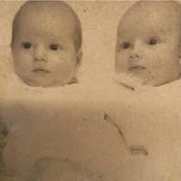 Donna L Maddox Vermillion's profile image