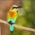 Henry Sanchez's profile image