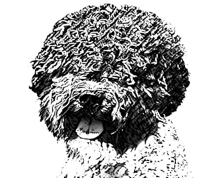 Bill W.'s profile image