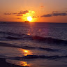 Nordia M.'s profile image