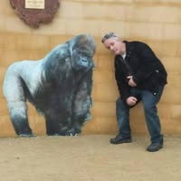 Jon Francey's profile image