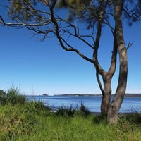 Robyn Crisp's profile image