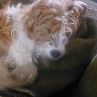 Jennifer Mary's profile image