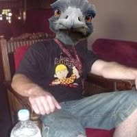Thom Gascoigne's profile image
