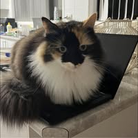 Tracy Doran's profile image