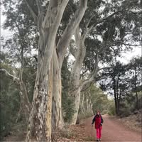 Robyn O'Loughlin's profile image
