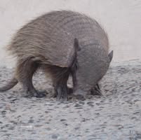 Raeline George's profile image