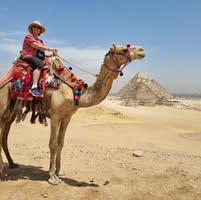 Sharon Piert's profile image