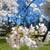 Carol Stoyle's profile image