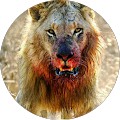 Howard Bounds's Profile Image