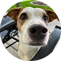 Profile Photo of Kristi Lizyness
