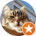 TK's Profile Image