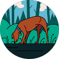 Lisa Rudler's Profile Image