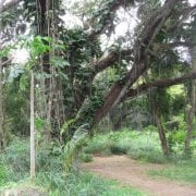 Lonnie T.'s profile image