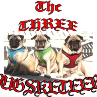 The Three Pugsketeers's profile image