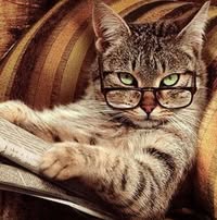 Pat Gill's profile image