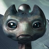 Rolando A. Galindo's profile image