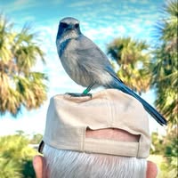 John Carlisle's profile image