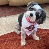 Rosemary Kucynski's profile image