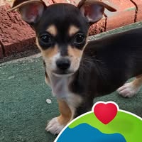 Darlene Otten's profile image