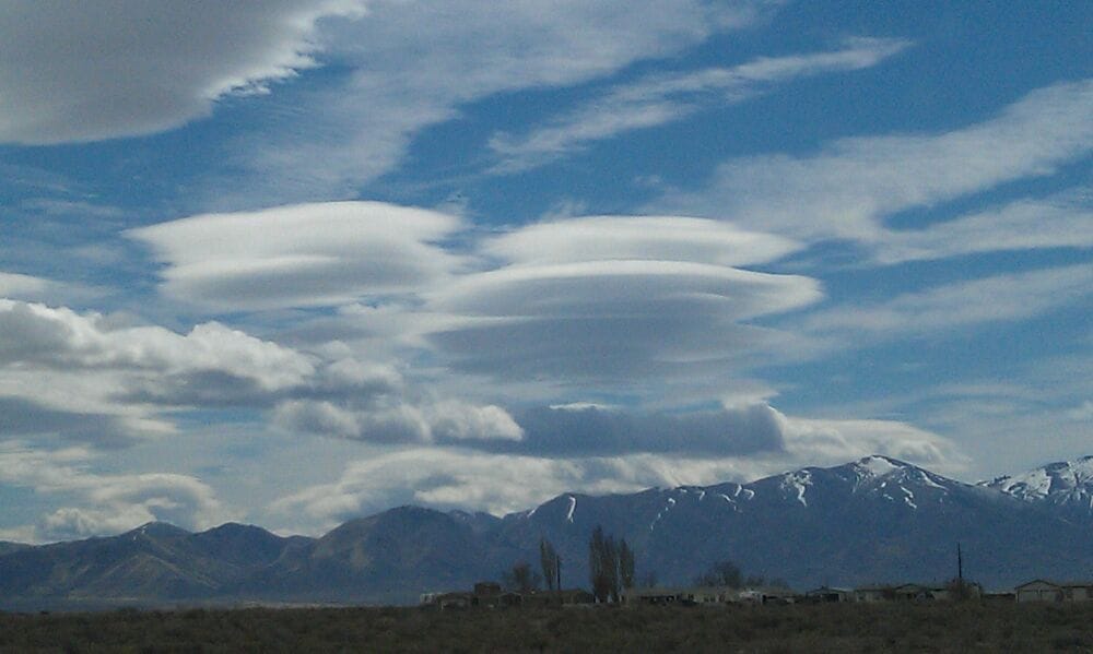 Mary L.'s profile image