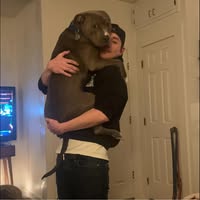 Ethan Coombs's profile image