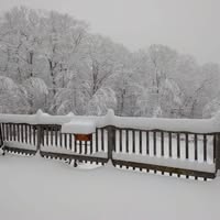 Susan Silver's profile image