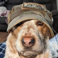 Clint Christensen's profile image