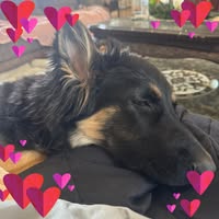 Melinda Richards's profile image